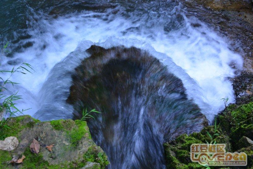 探索天涯,畅谈山里红和山楂一样吗交流平台